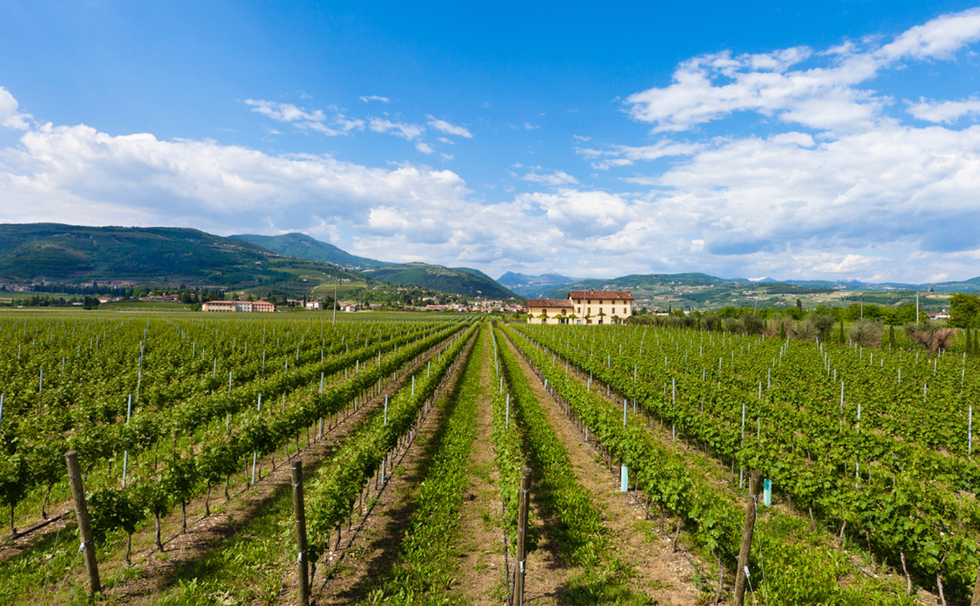 7 wedding locations in Valpolicella: the dream frames for unforgettable weddings - The Different Twins
